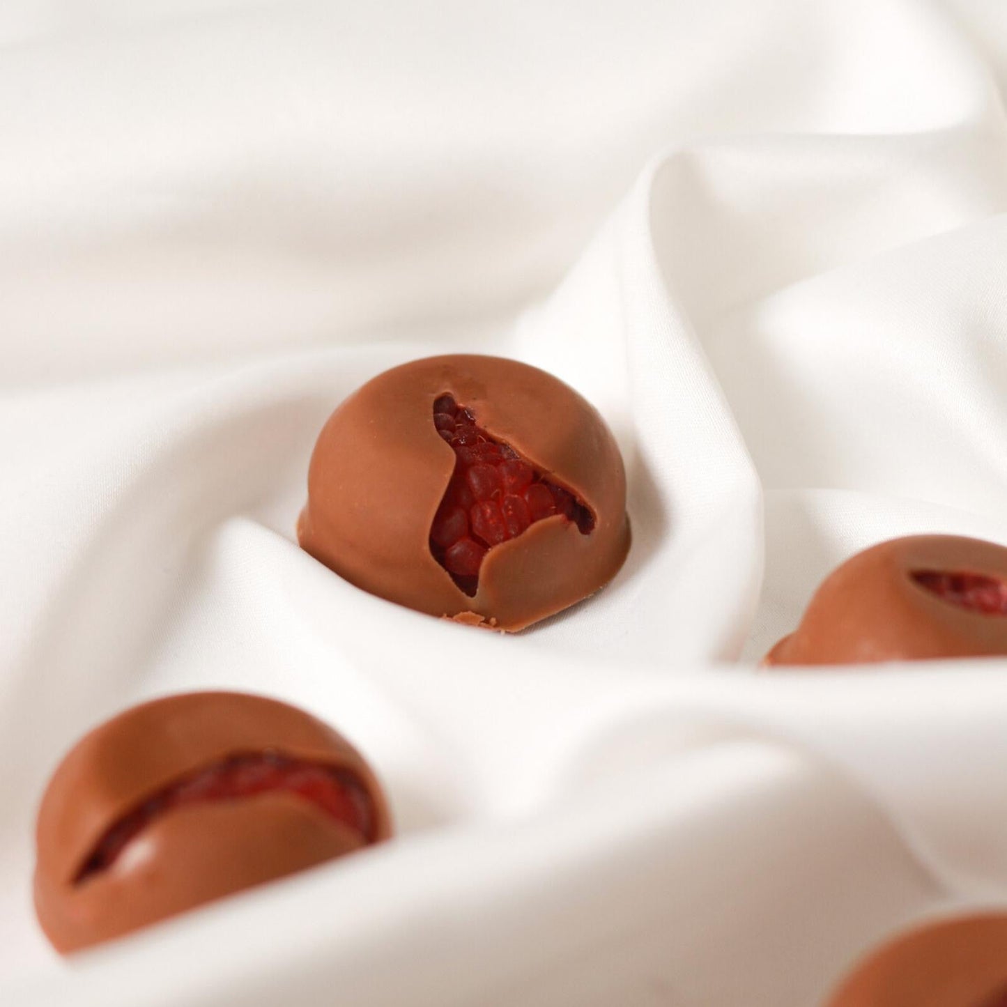 Raspberry Bites